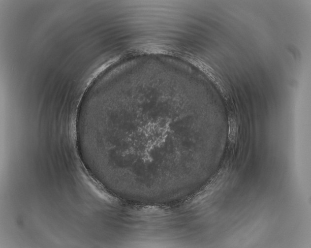 X0000110870390200907021441