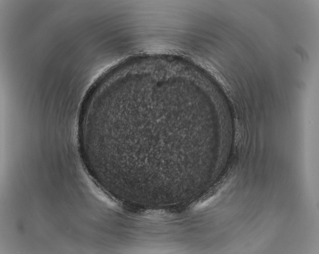 X0000110870391200907021441