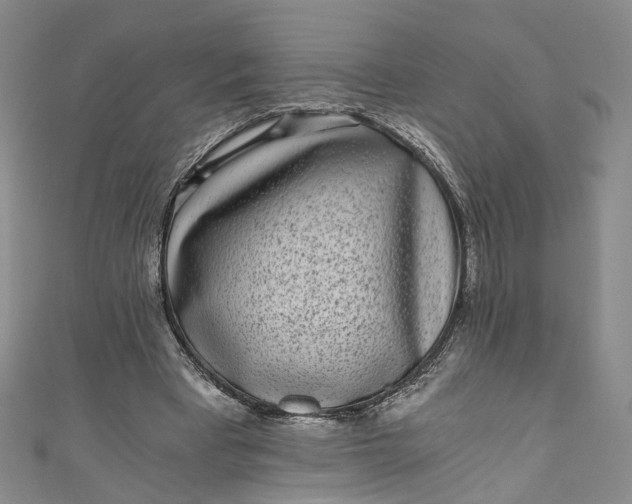 X0000110870393200907021441