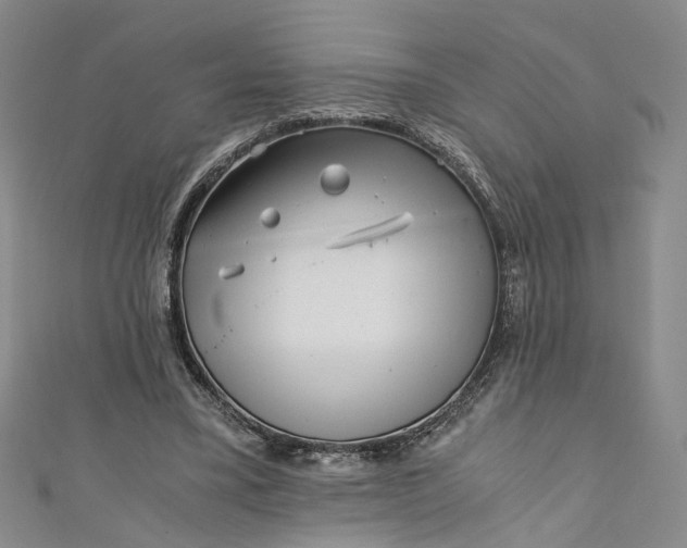 X0000110870395200907021441