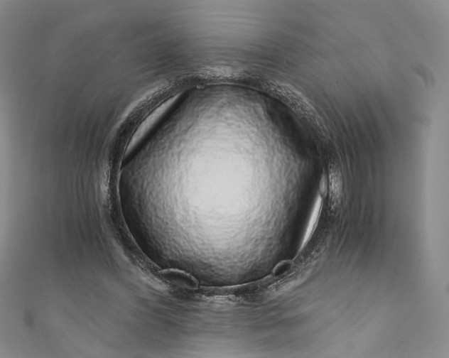 X0000110870396200907021441