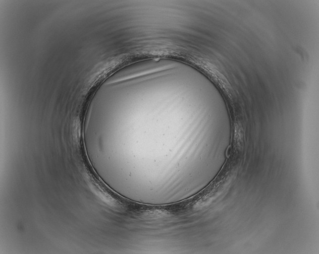 X0000110870397200907021441