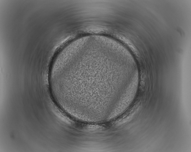 X0000110870399200907021441