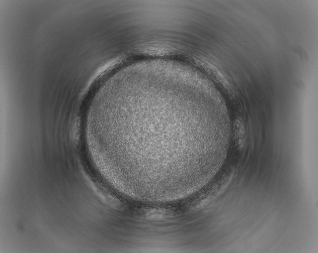 X0000110870400200907021441