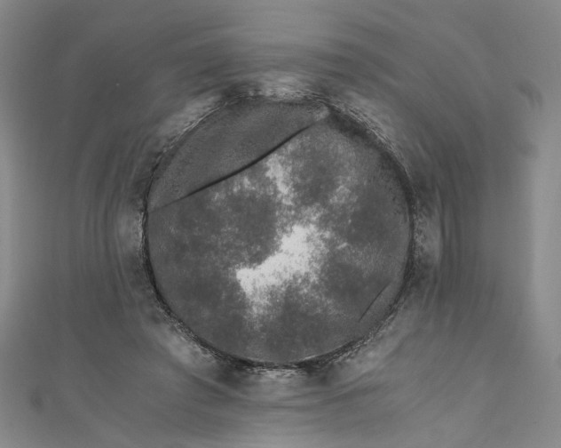 X0000110870401200907021441