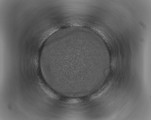 X0000110870402200907021441