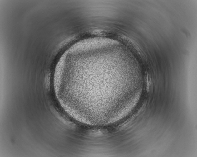 X0000110870404200907021441