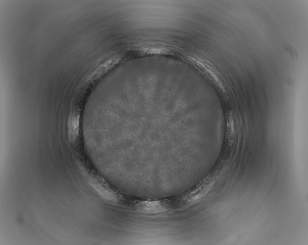 X0000110870406200907021441