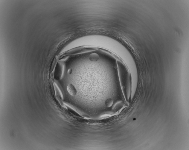 X0000110870407200907021441