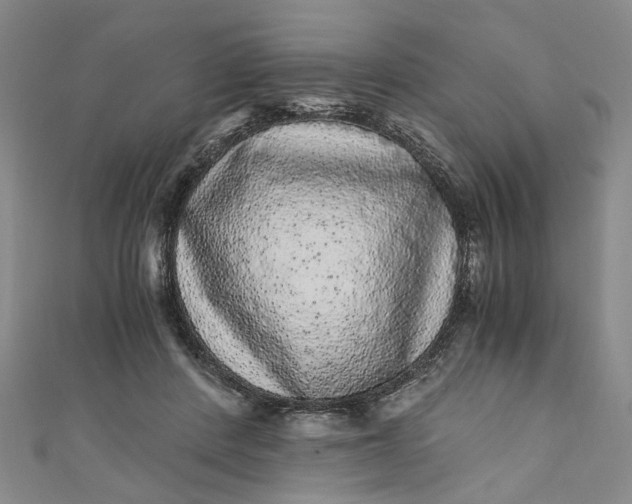 X0000110870408200907021441