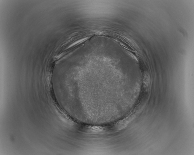 X0000110870409200907021441