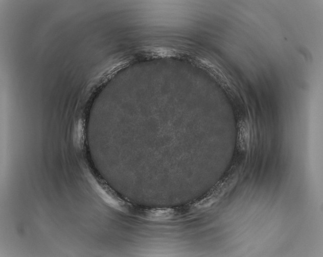 X0000110870410200907021441