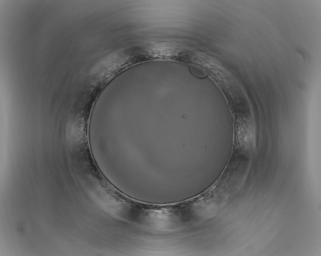 X0000110870411200907021441