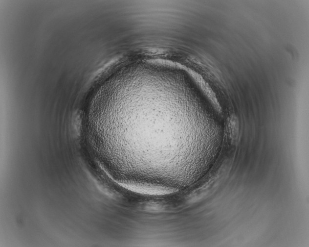 X0000110870412200907021441