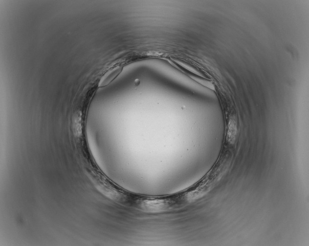 X0000110870413200907021441