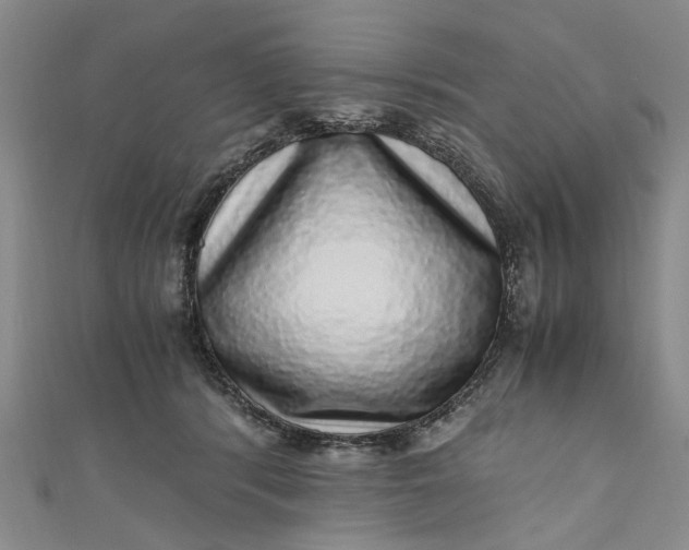 X0000110870416200907021440