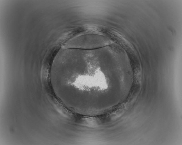 X0000110870417200907021440