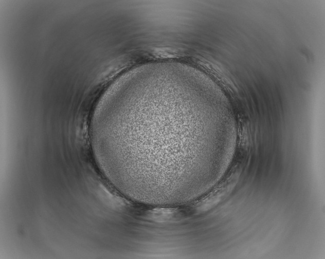 X0000110870418200907021440