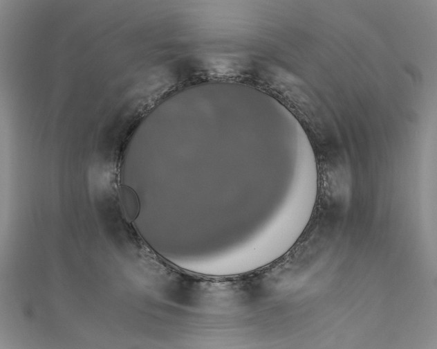 X0000110870419200907021440