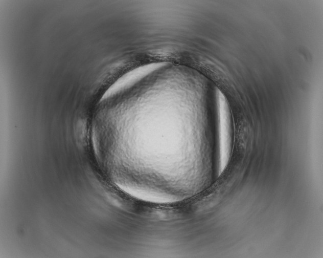 X0000110870420200907021440