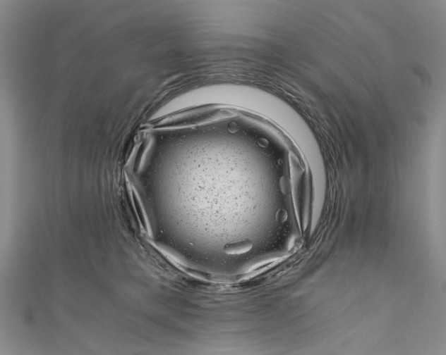 X0000110870421200907021440