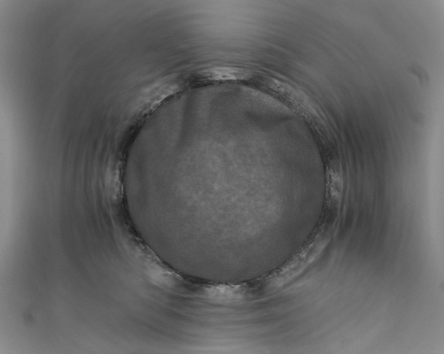 X0000110870422200907021440