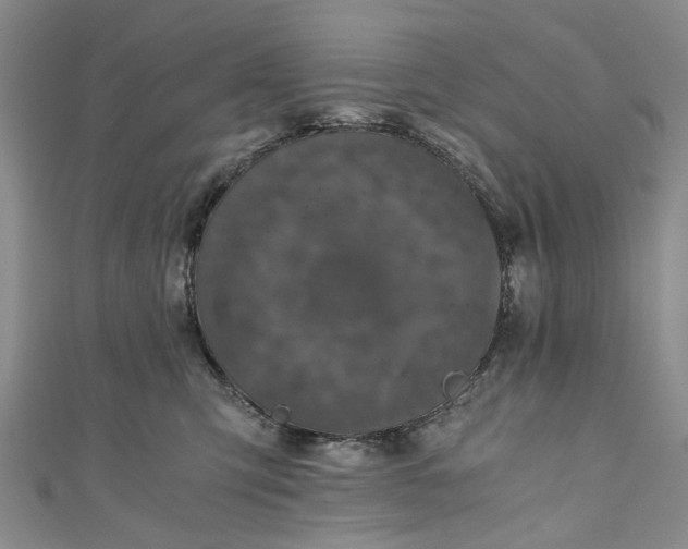 X0000110870423200907021440