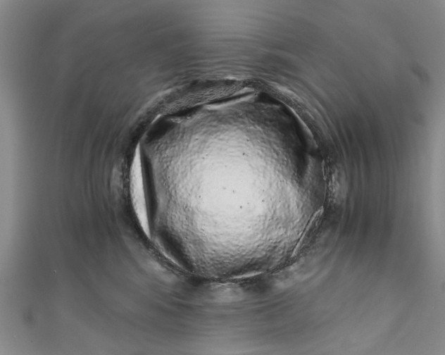 X0000110870424200907021440