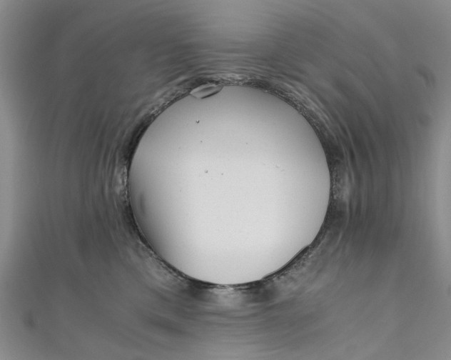 X0000110870425200907021440