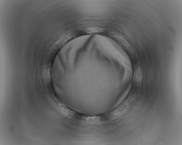 X0000110870426200907021440