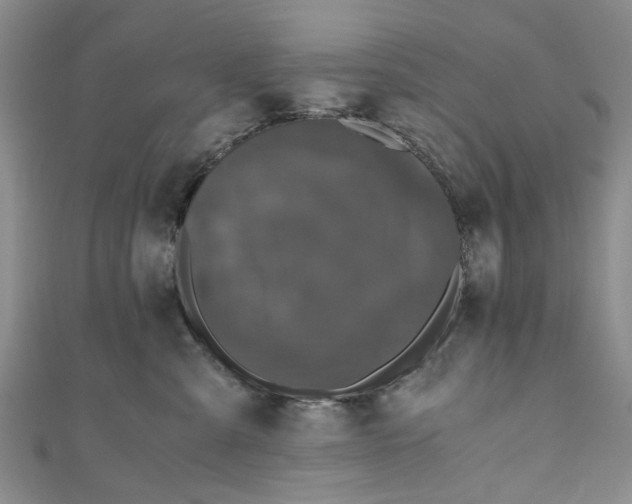 X0000110870427200907021440