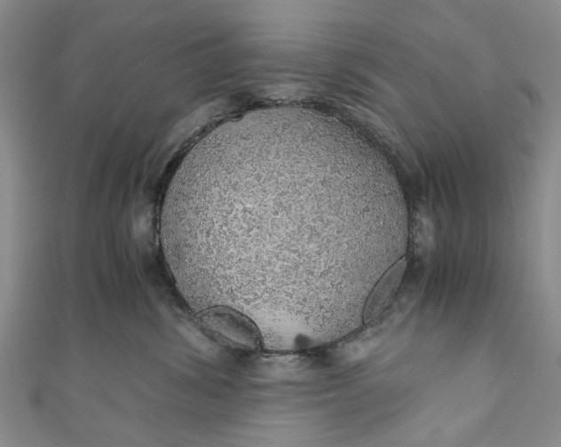 X0000110870428200907021440