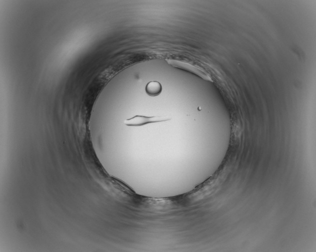 X0000110870429200907021440