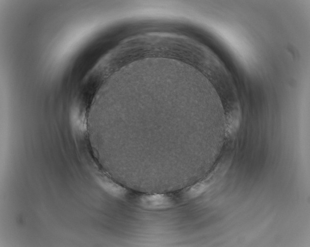 X0000110870431200907021440