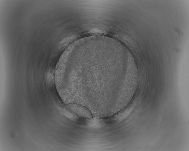 X0000110870432200907021440