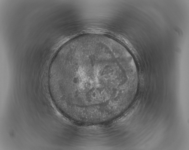 X0000110870433200907021440