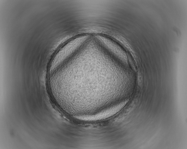 X0000110870434200907021440