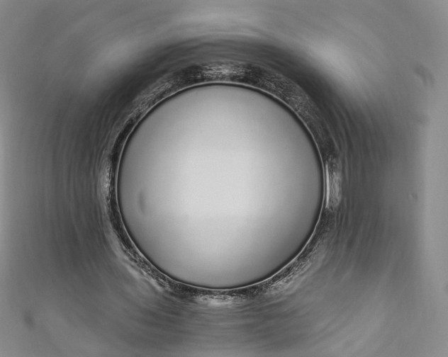 X0000110870435200907021440