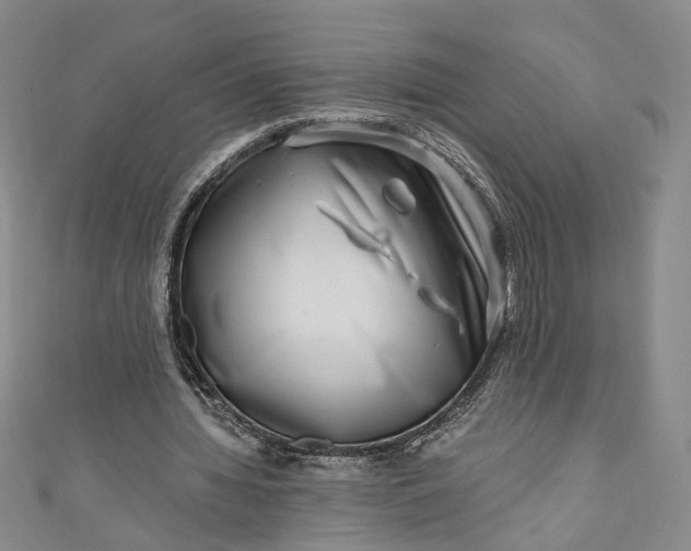 X0000110870436200907021440