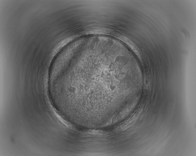 X0000110870437200907021440