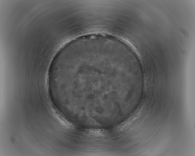 X0000110870439200907021440