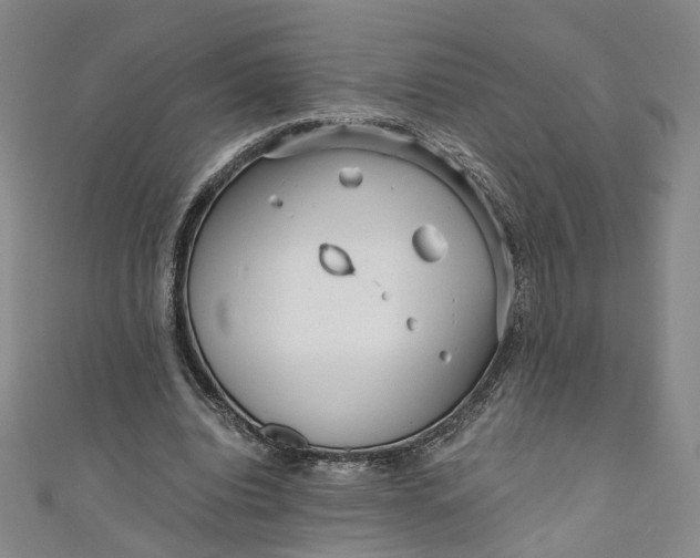 X0000110870440200907021440