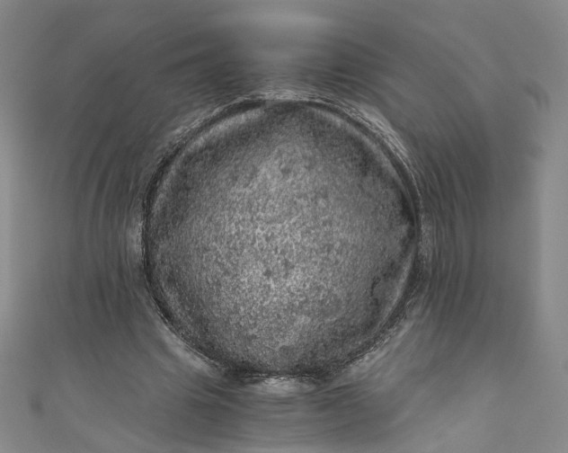 X0000110870441200907021440