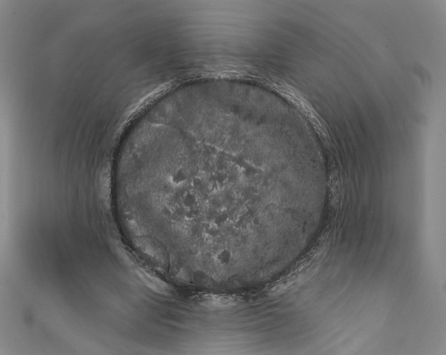 X0000110870442200907021440