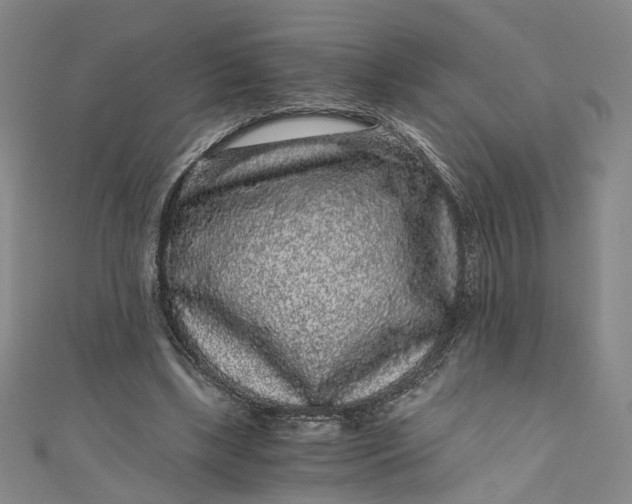 X0000110870443200907021440