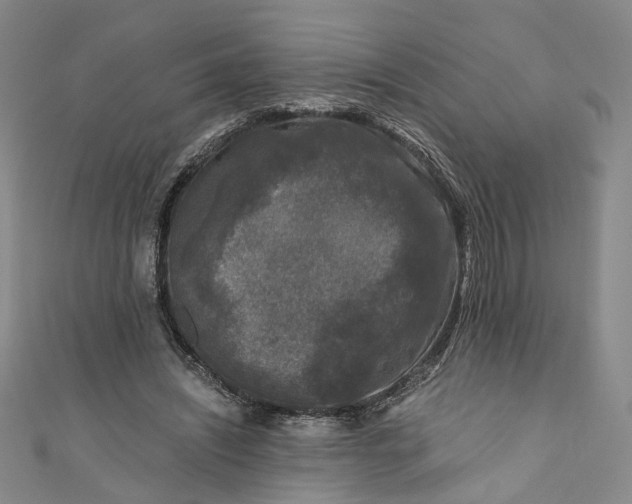 X0000110870444200907021440