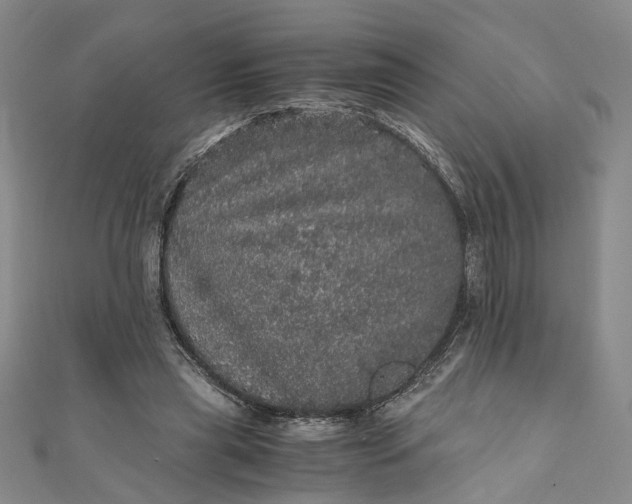 X0000110870445200907021440