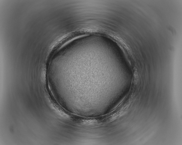 X0000110870446200907021440