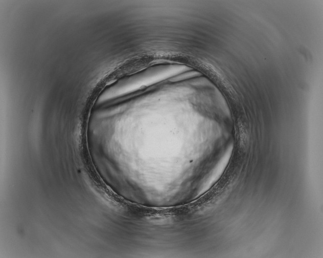 X0000110870447200907021440