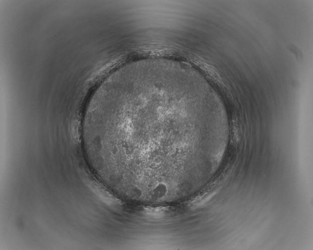 X0000110870450200907021440